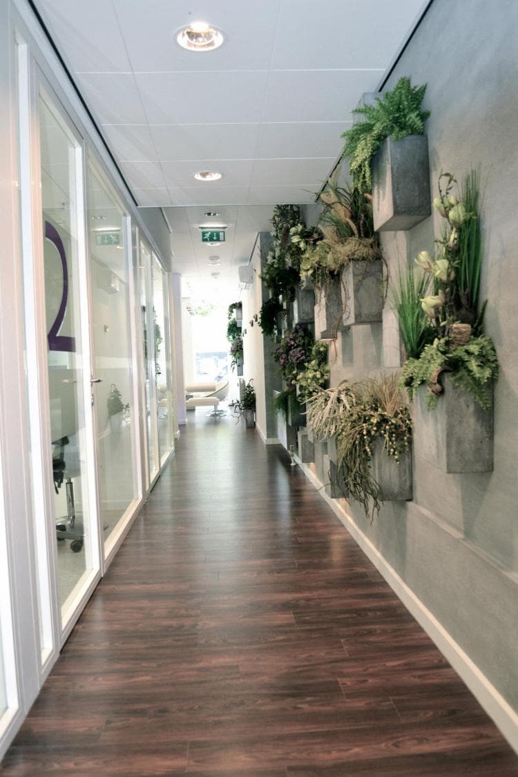 Modern dental practice hallway